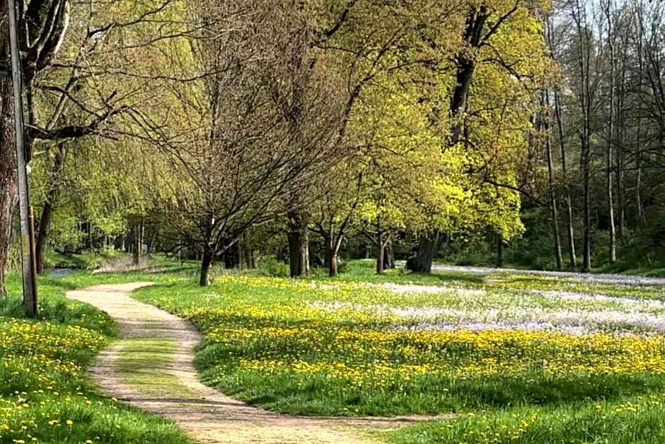 Pałac Łomnica Karkonosze - Schloss Lomnitz Riesengebirge
