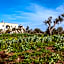 Masseria Borgo Segine - Relais nel Salento