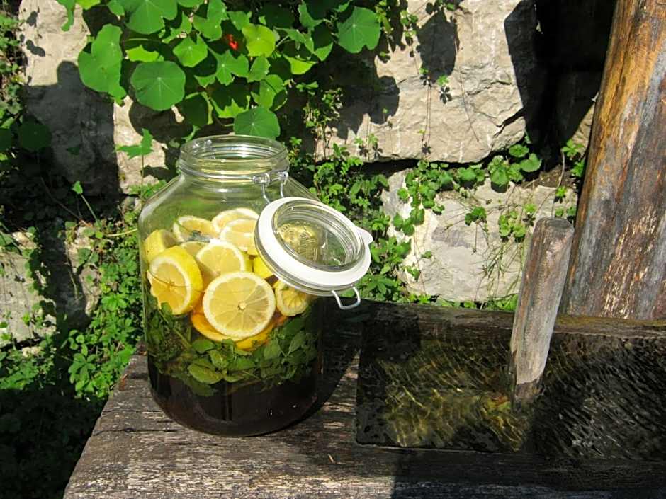 Naturidyll Hotel Hammerschmiede