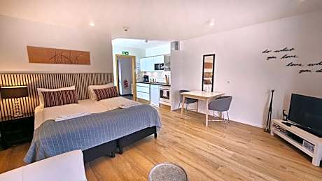 Studio Apartment - Bergstadastræti 12