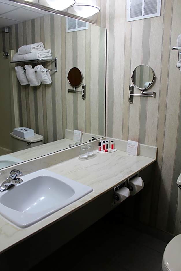 Ramada Plaza by Wyndham Regina Downtown
