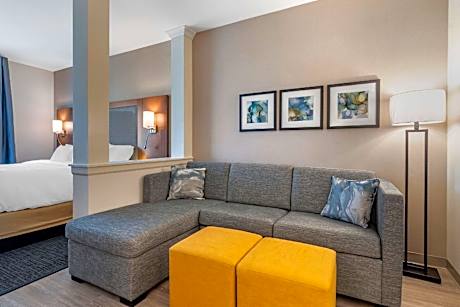 1 King Bed Suite Nonsmoking