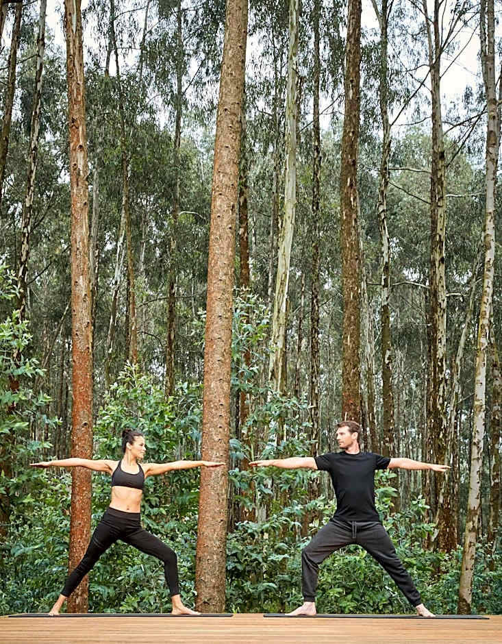 One&Only Gorilla's Nest