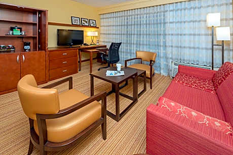 1 Bedroom Suite, 1 King, Sofa bed, Balcony