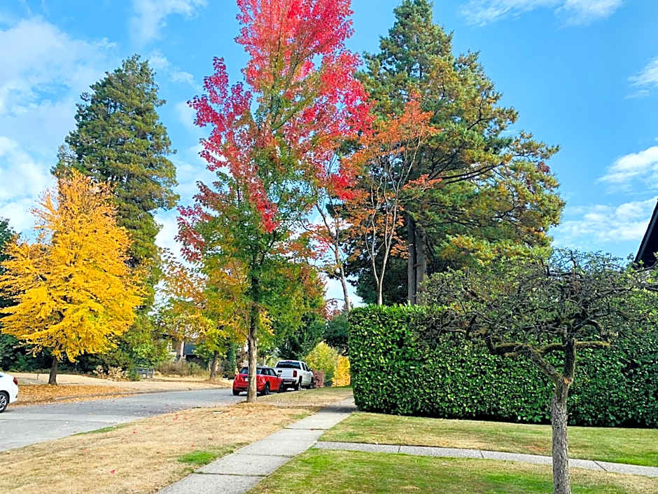 Three-Tree Villa-Central Location