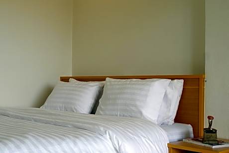 1 King Bed Standard Mountain View Room