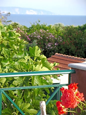 Superior villa with sea view