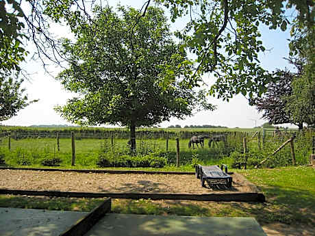 Apartment near town center in Mesch