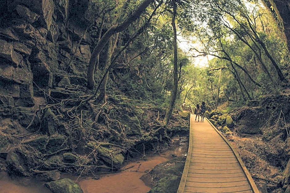 Planalto Select Hotel Ponta Grossa