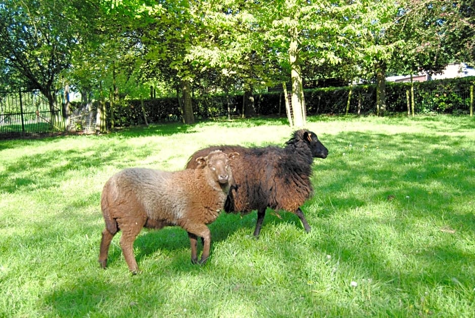 B&B Het Loonderhof