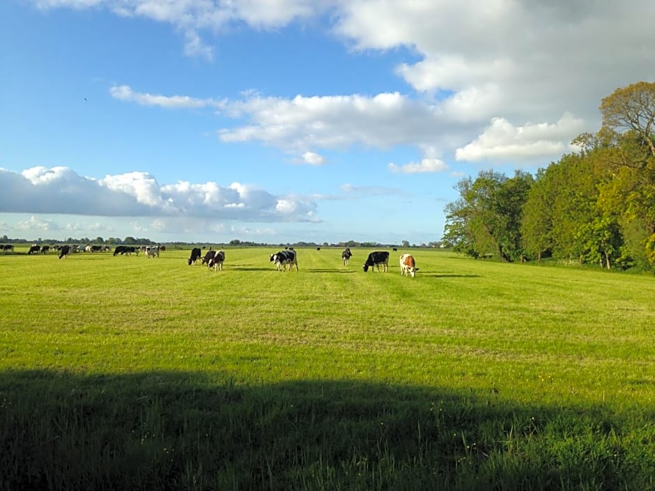 Vrijstaand Koetshuis Marron
