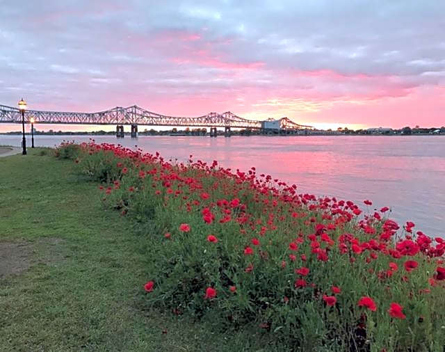 Riverboat Bed & Breakfast