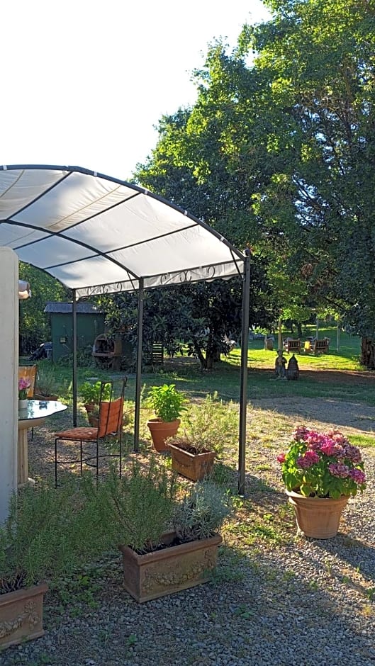 B&B Cimamori
