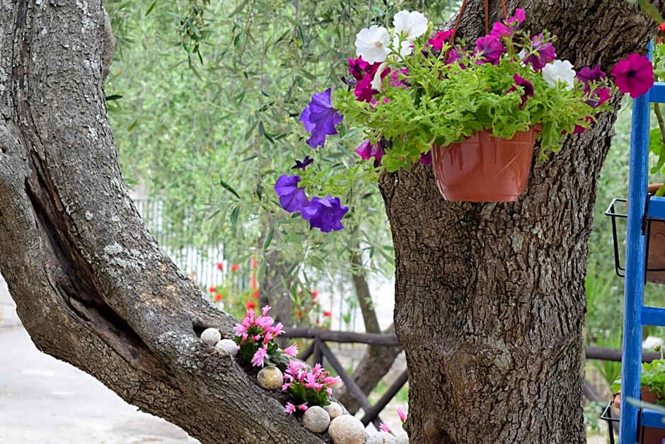 Village Valle D'Oro ApartHotel