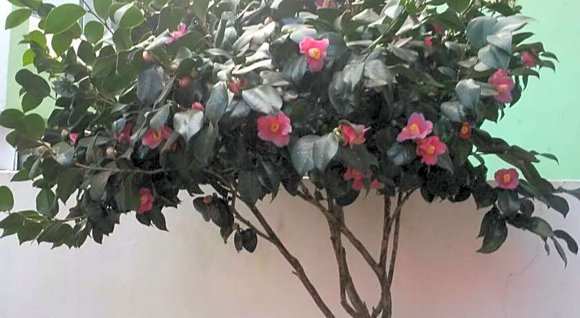 Gwangju Green Guesthouse