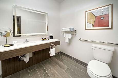 Accessible - 1 King, Mobility Accessible, Bathtub, Non-Smoking, Full Breakfast
