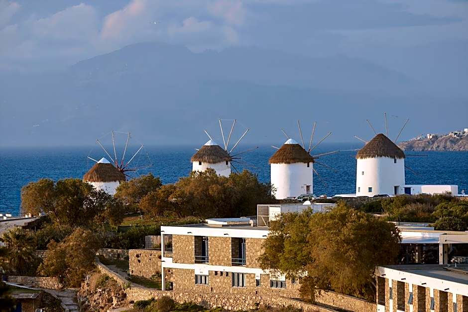 Hotel Adonis
