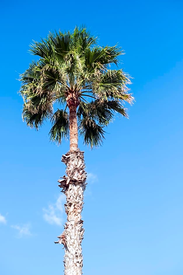 Bungalows Side Shore