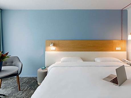 Reduced-mobility Room with One Double Bed
