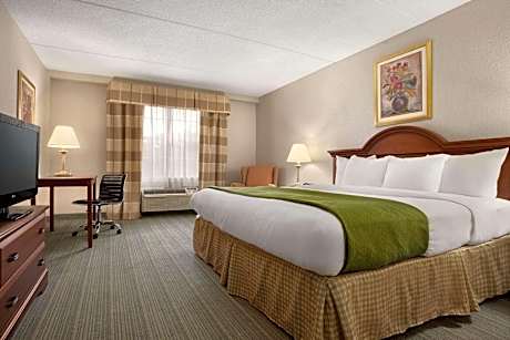 1 King Bed, Suite, Nonsmoking
