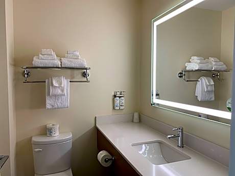 1 King Mobility Accessible Roll In Shower