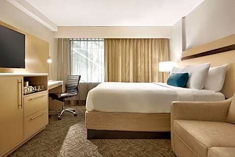 Queen Room with Sofa Bed and Mobility Accessible Tub- Non-Smoking