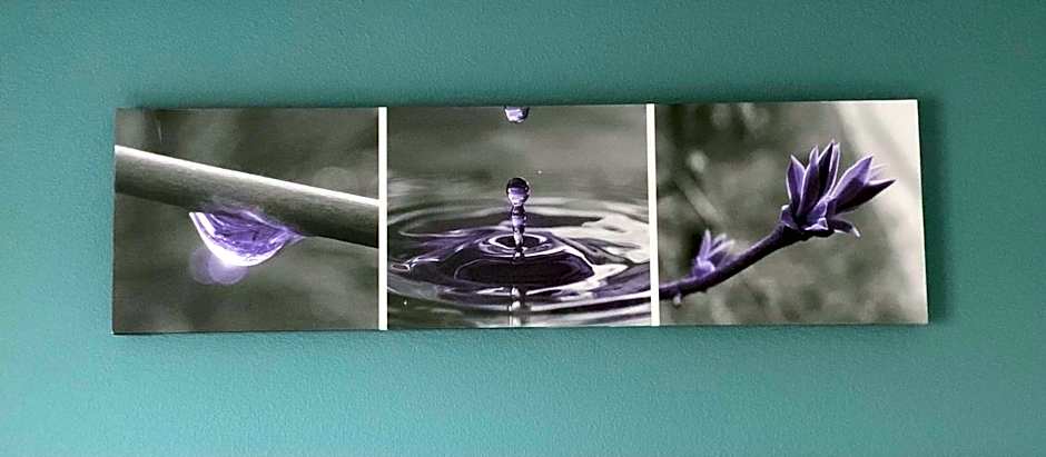 Sleep Inn & Suites California MD