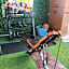 Tequila Sunrise Hostel Surfers Paradise
