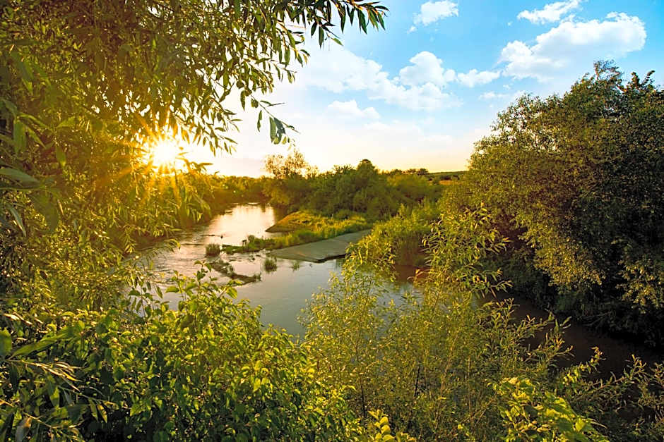 Zielona Przystań