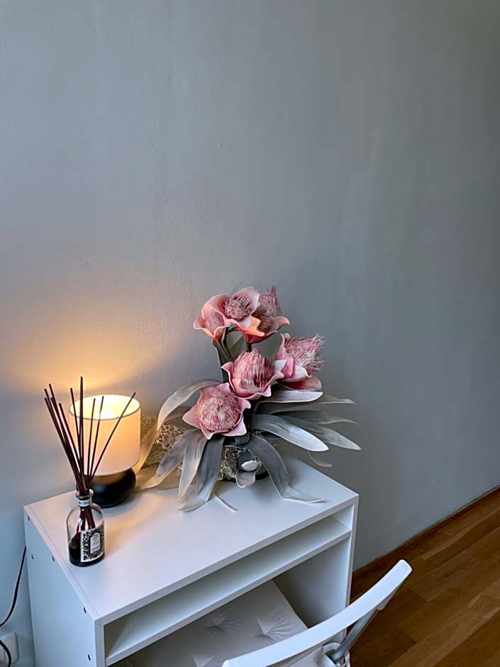 Homelink Firenze - De' Medici
