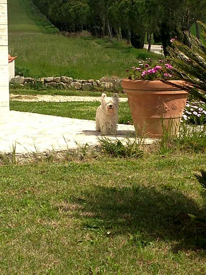 Bagno Santo Residence