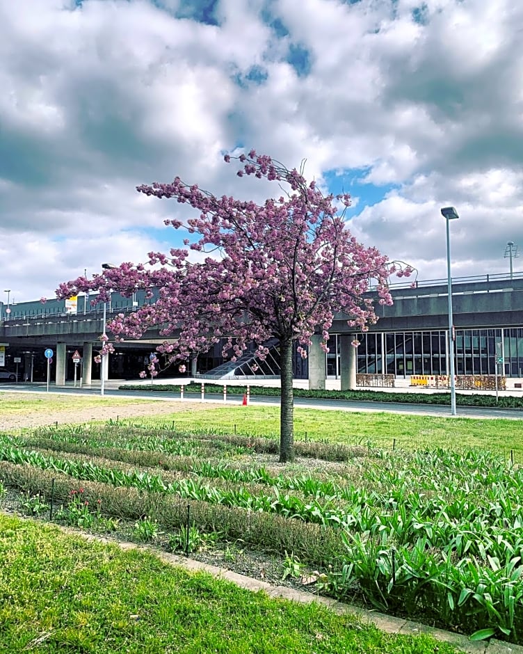 Maritim Airport Hotel Hannover