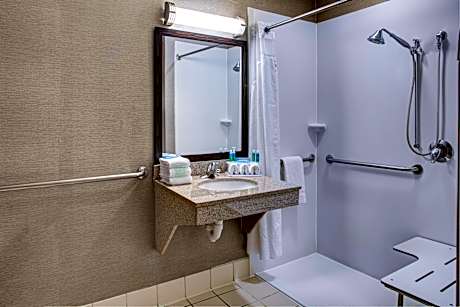 1 King Suite Communications Mobility Roll In Shower