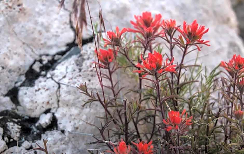 Empeiria High Sierra Hotel