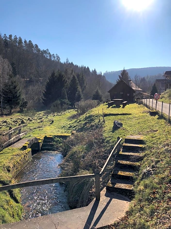 La Dependance de la Villa des Oiseaux - La Petite Pierre