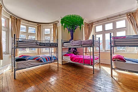 Bunk Bed in Mixed Dormitory Room