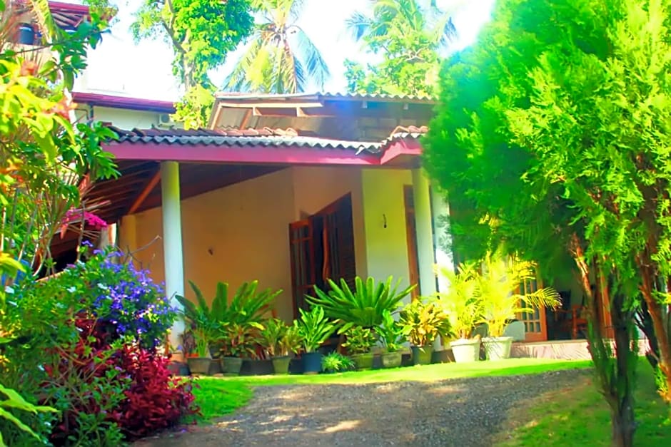 HikkaJayaSri Villa Peacock