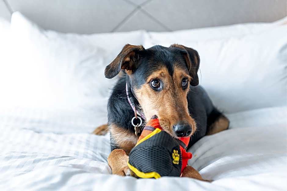 Residence Inn by Marriott Slough