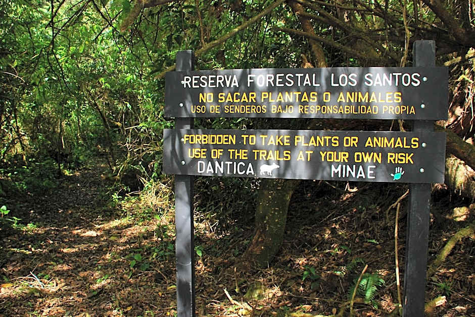 Dantica Cloud Forest Lodge