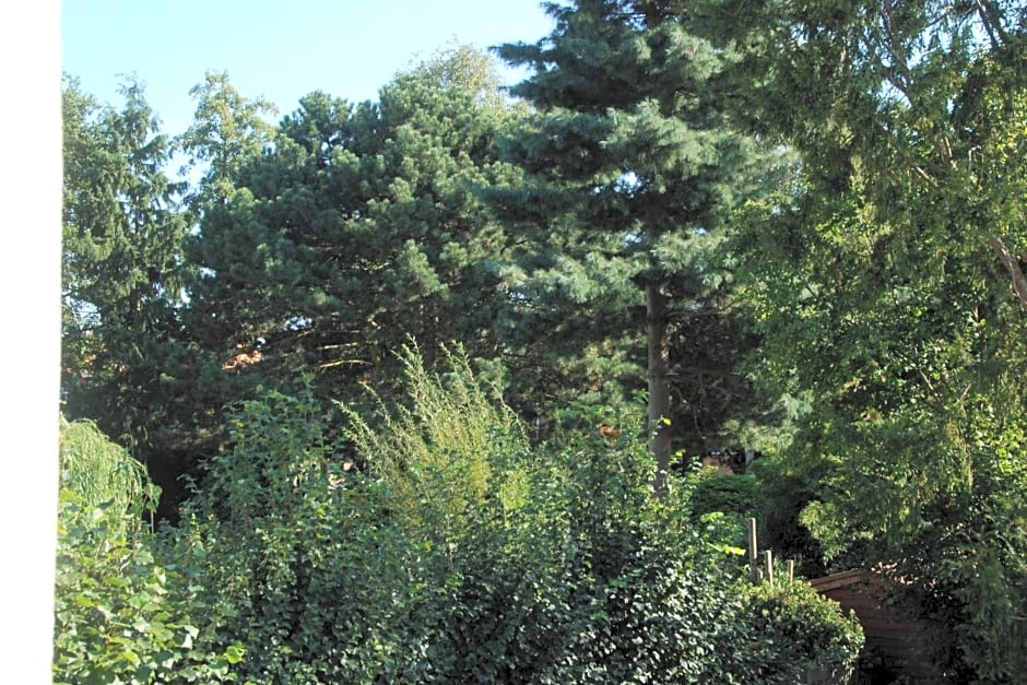 B&B Garden55