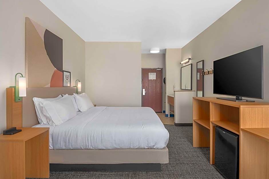 Spark by Hilton Minot