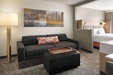 Hearing Accessible Studio Suite King