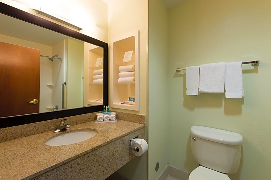 Holiday Inn Express Hotel & Suites Walterboro I-95