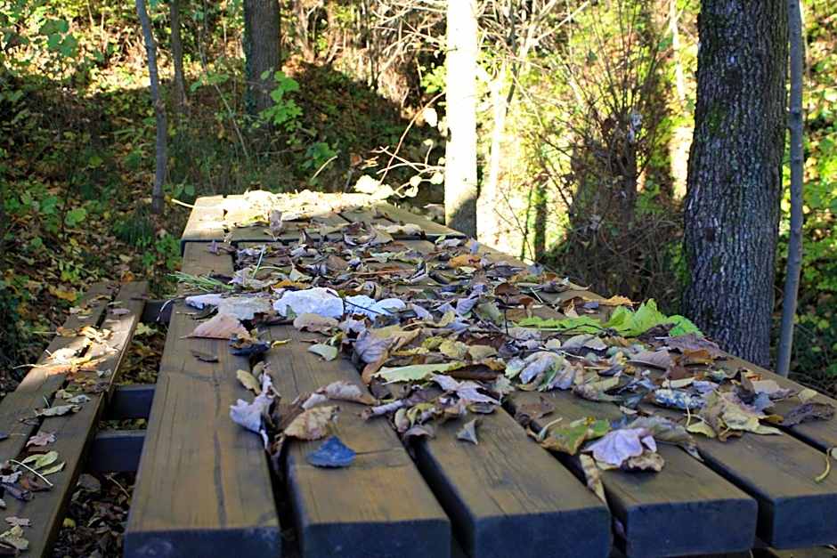 Agriturismo Fattoria Ortoalpino