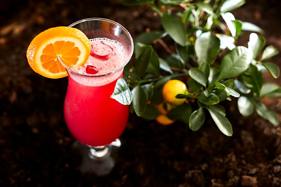 Santa Eulália Hotel Apartamento & Spa