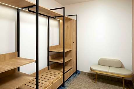 Elite, Suite, 1 King, Sofa Bed