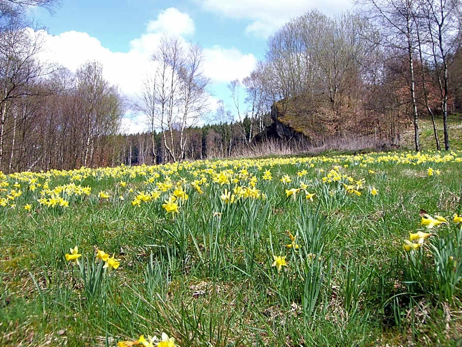 Vulkanhotel balance&selfness ***S