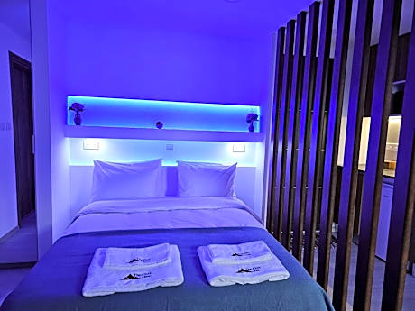 Apartment with Mountain View