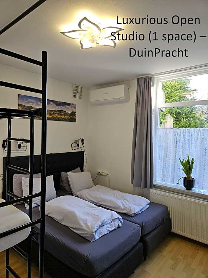 DuinVliet - Zandvoort Dunes & Free Parking