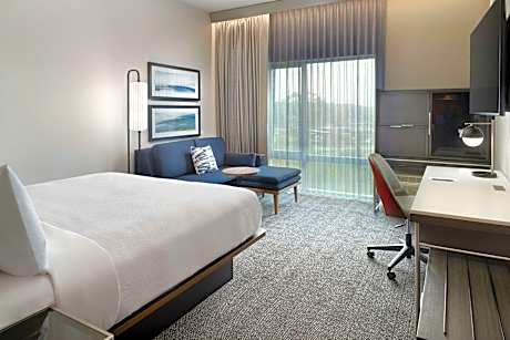 Standard, Guest room, 1 King